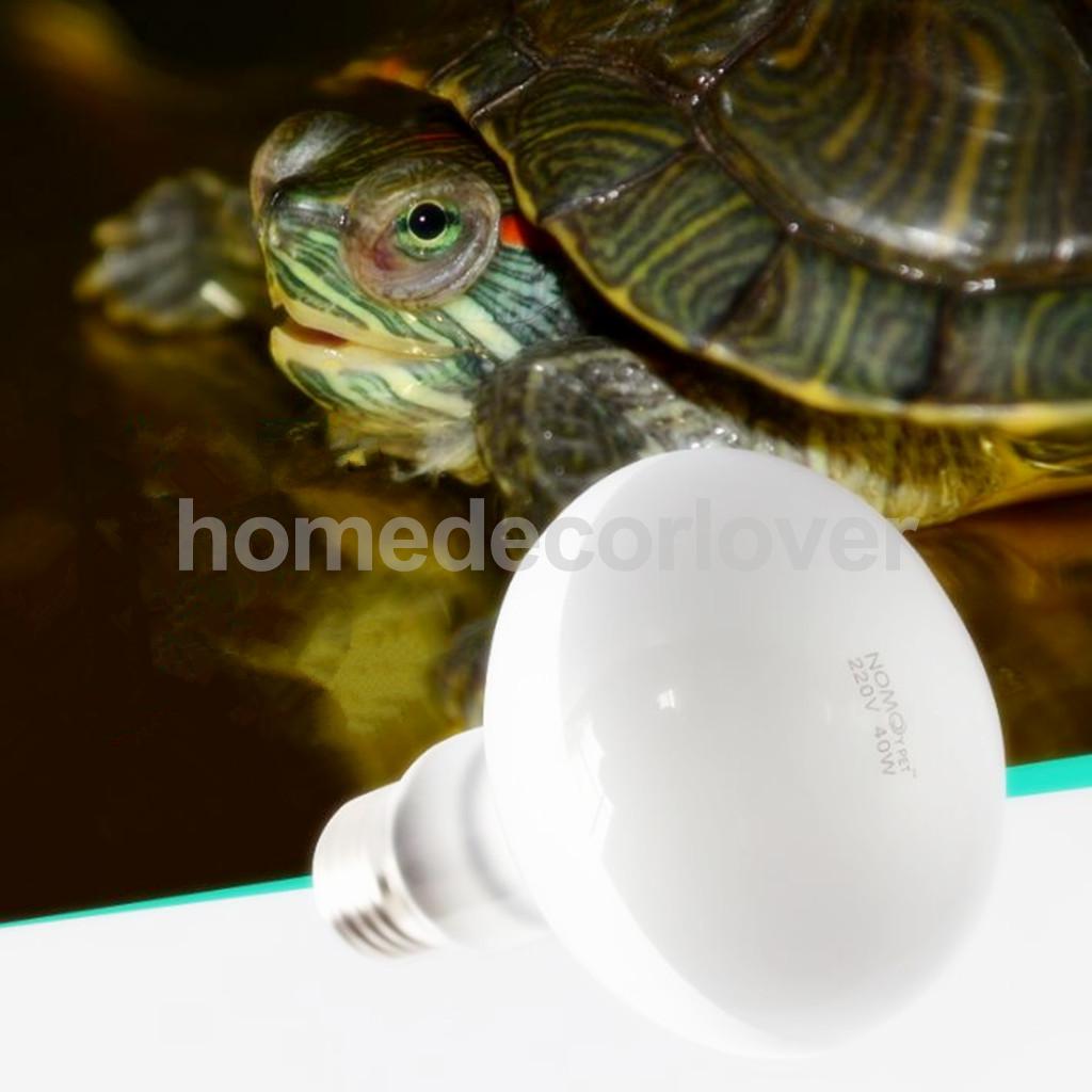 E27 ϱ    ׶󸮿 UVA  , ź 220V-240V 25w -100w /E27 Daylight Heat Light Bulb Reptile Terrarium UVA Lamp lizards, tortoise 220V-240V 2
